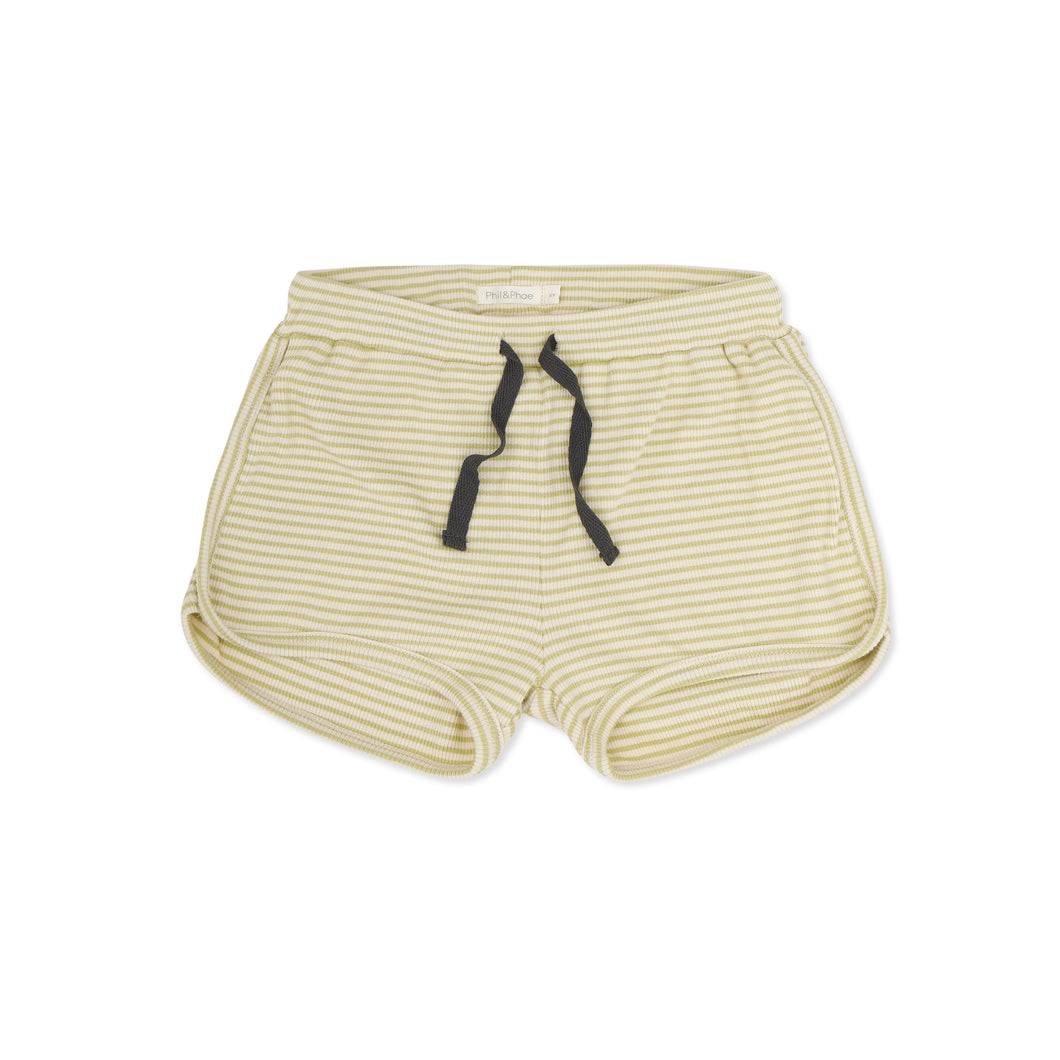 PHIL & PHAE - Rib shorts stripes (Matcha Stripes)