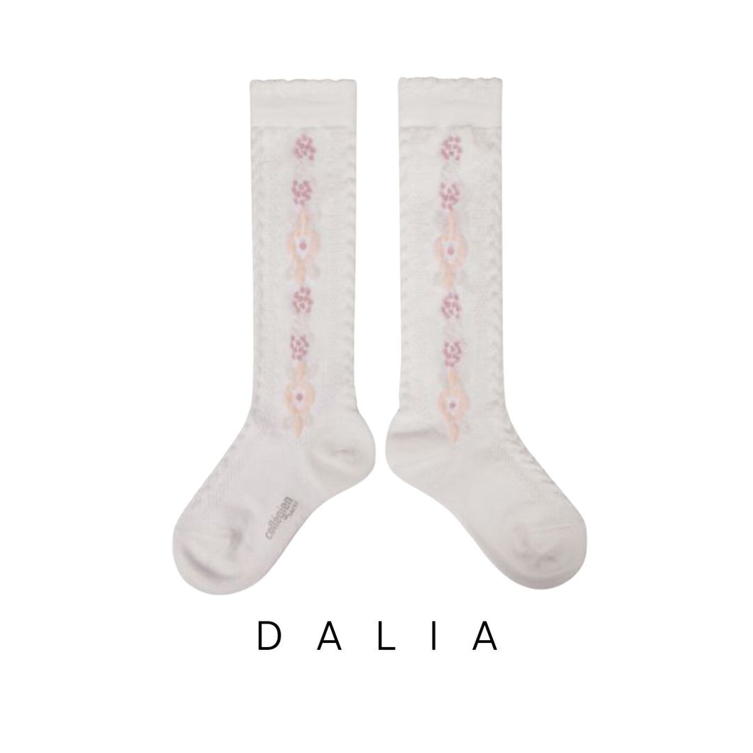 [預購] Collegien | Dalia - Flower Knee-high Socks (Snow)