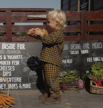 Load image into Gallery viewer, Organic Zoo - Blueberry Gingham Carrot Pants
